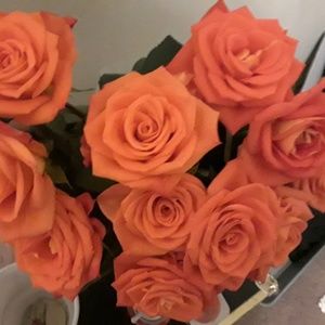 Meet your Posher, Javier